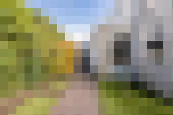 De Sikkel 18 Heerde thumbnail 58