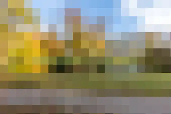 De Sikkel 18 Heerde thumbnail 60
