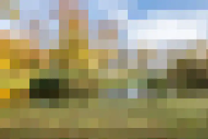 De Sikkel 18 Heerde thumbnail 61