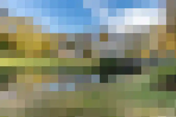 De Sikkel 18 Heerde thumbnail 62