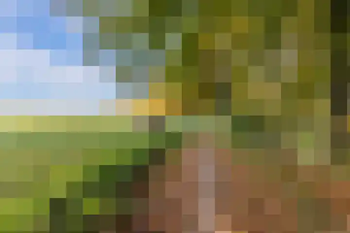 De Sikkel 18 Heerde thumbnail 63
