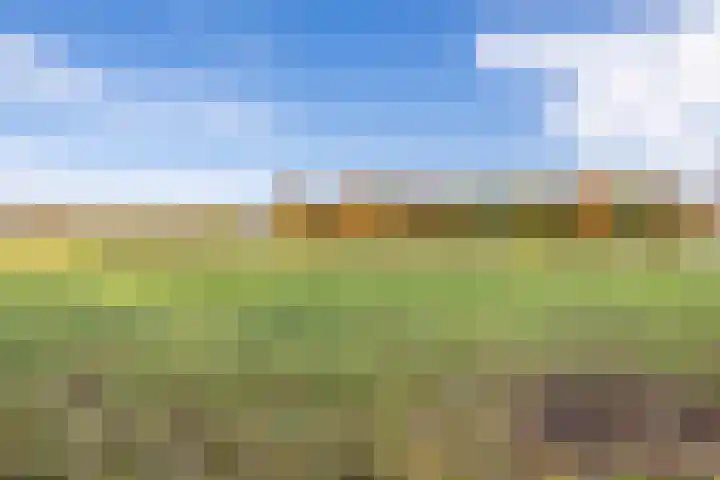De Sikkel 18 Heerde thumbnail 64