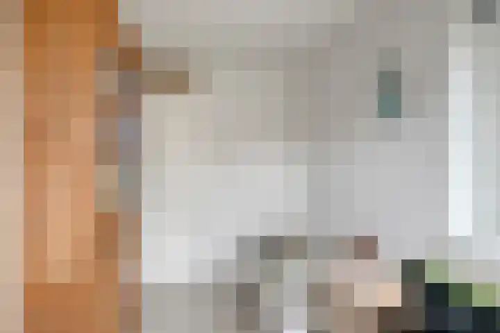 De Sikkel 21 Heerde thumbnail 18