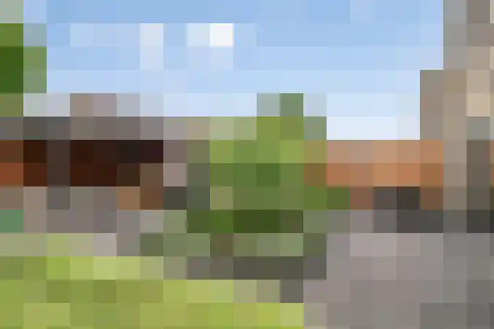 De Sikkel 21 Heerde thumbnail 21