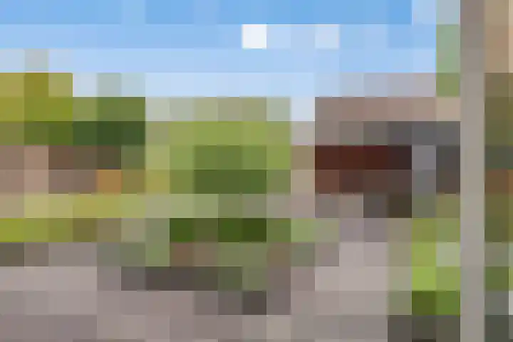 De Sikkel 21 Heerde thumbnail 22