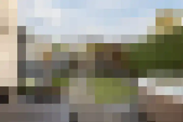 De Sikkel 29 Heerde thumbnail 41