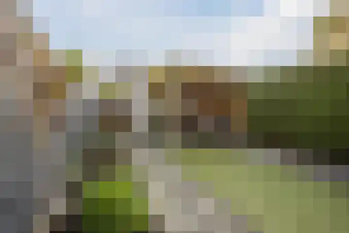 De Sikkel 29 Heerde thumbnail 42