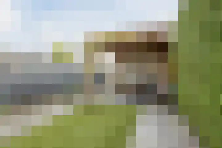 De Sikkel 29 Heerde thumbnail 43