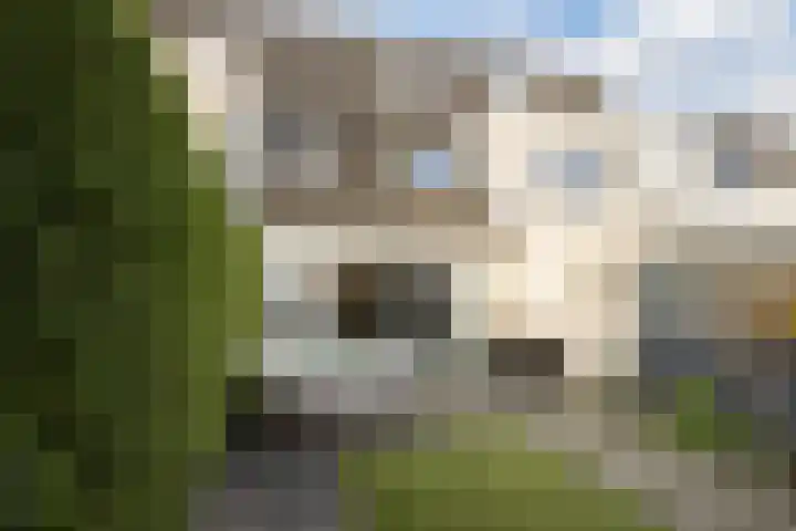 De Sikkel 29 Heerde thumbnail 46