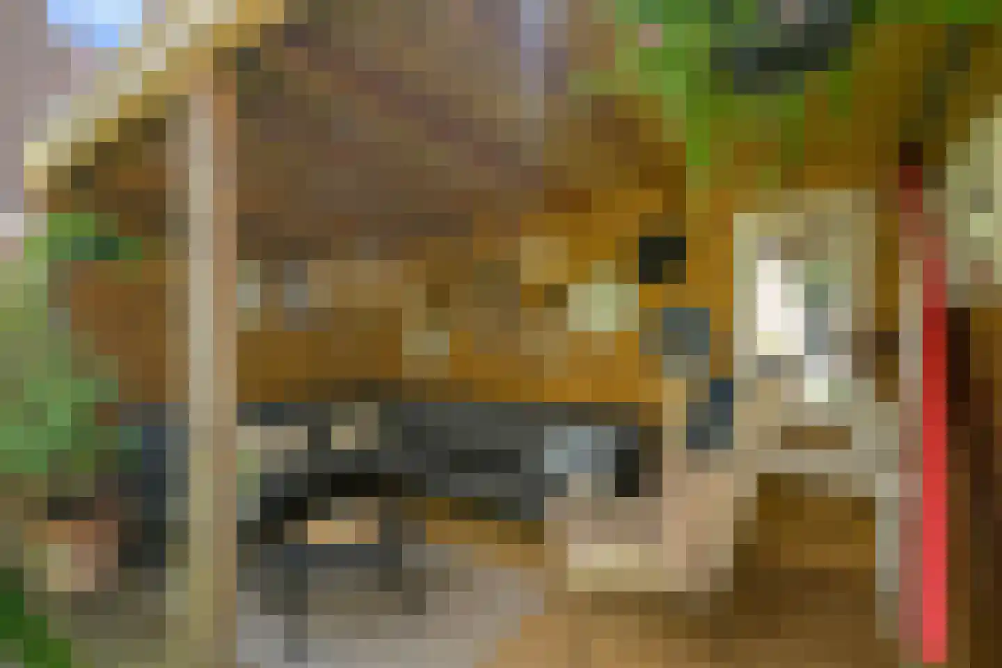 De Sillestraat 153 Den Haag thumbnail 5