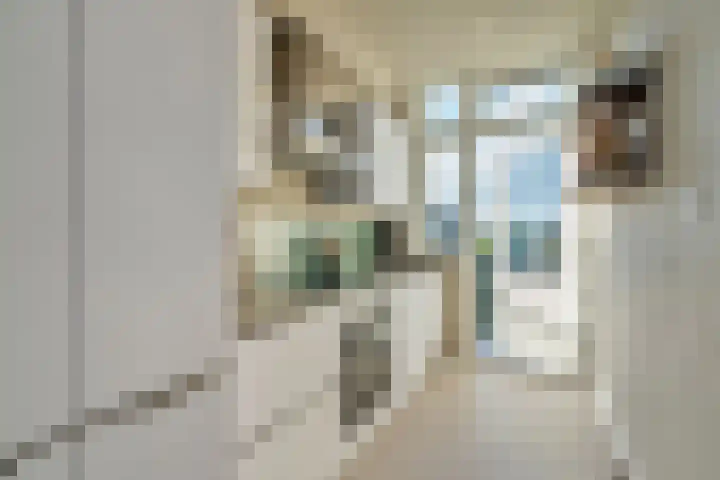 De Sillestraat 163 Den Haag thumbnail 5