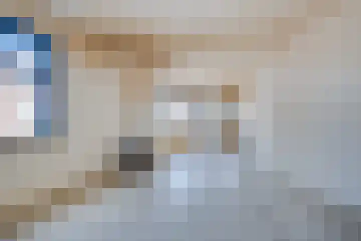 De Sillestraat 3 Den Haag thumbnail 9