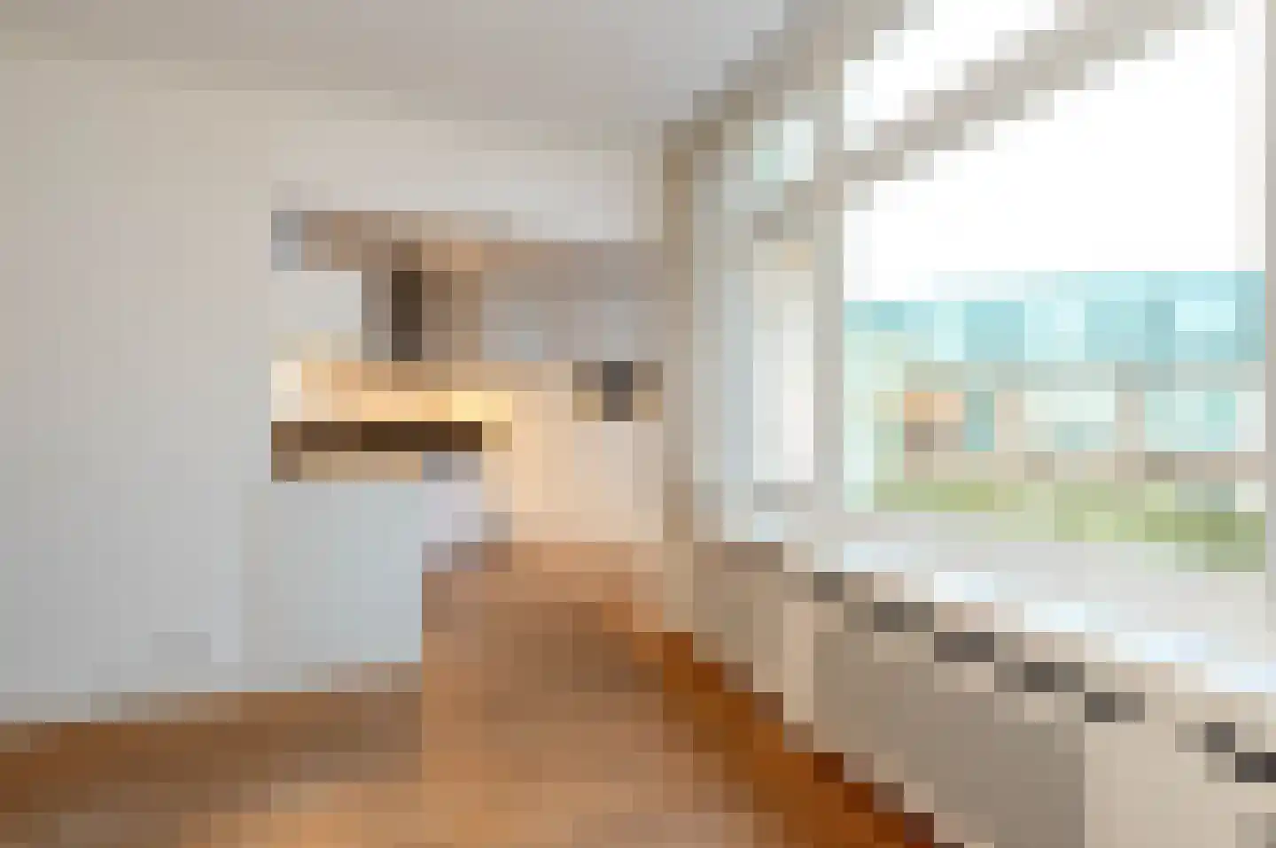 De Sillestraat 32 Den Haag thumbnail 12