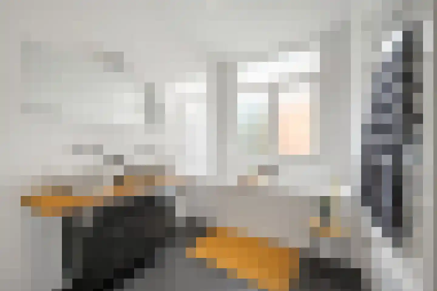 De Sillestraat 40 Den Haag thumbnail 6