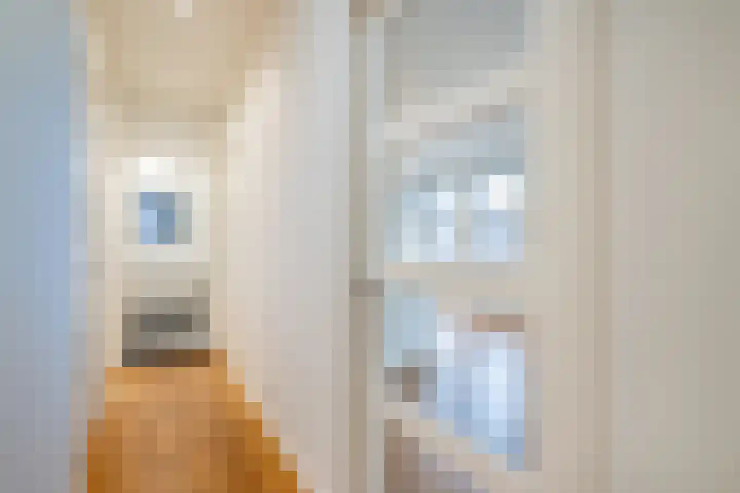 De Sillestraat 47 Den Haag thumbnail 18