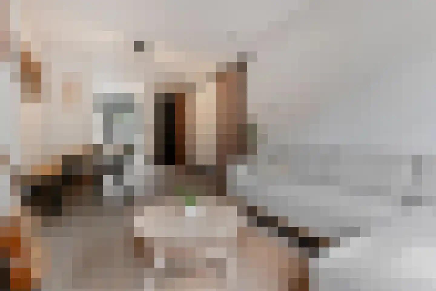 De Sillestraat 48 Den Haag thumbnail 6