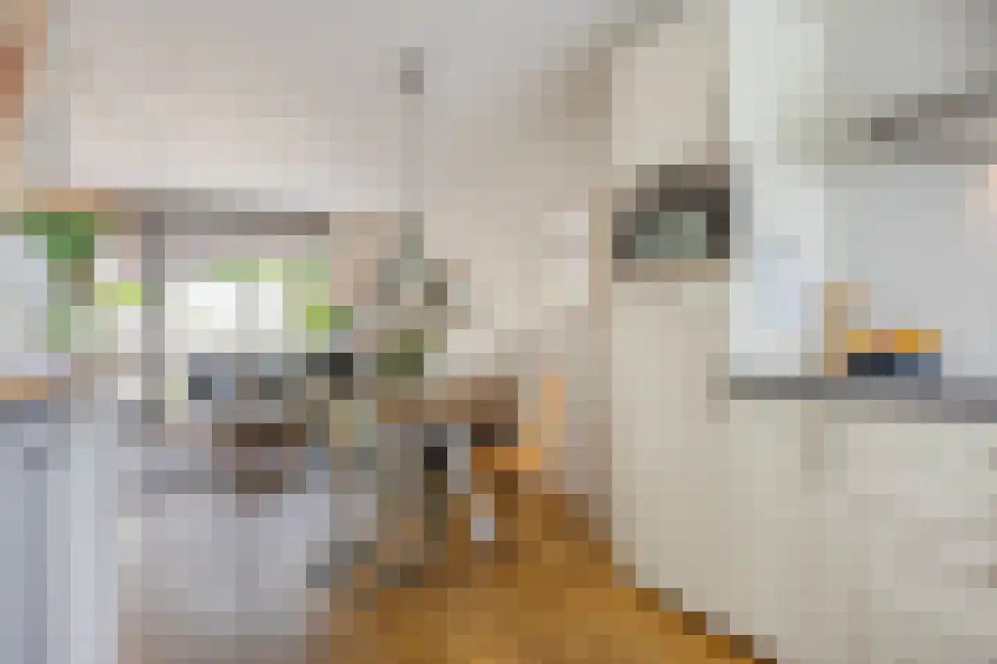 De Silo 4 Arnhem thumbnail 12