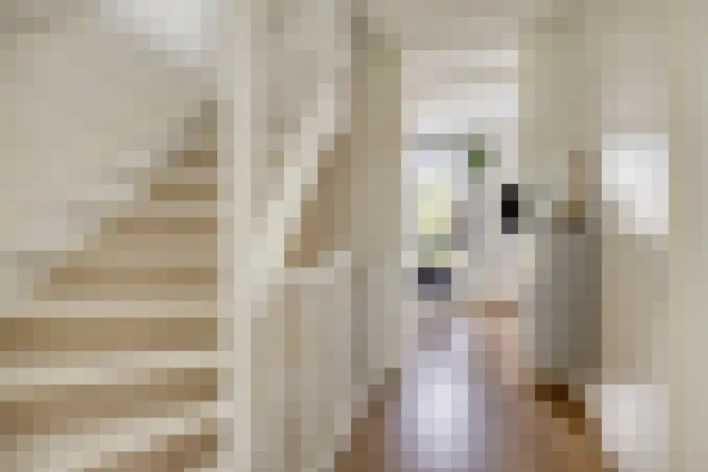 De Silo 4 Arnhem thumbnail 14
