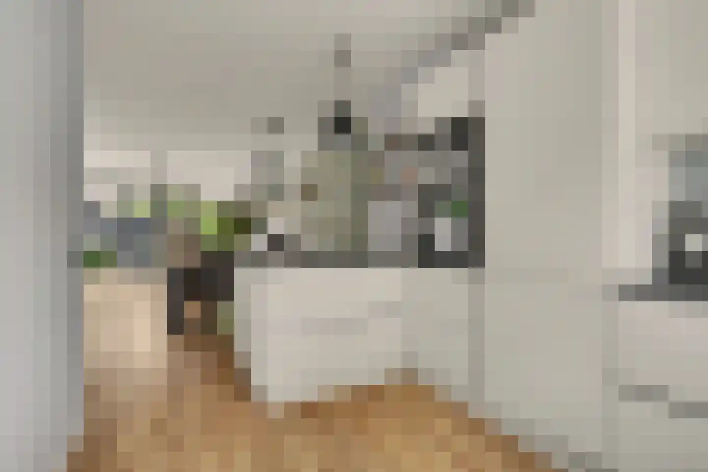 De Silo 6 Arnhem thumbnail 15