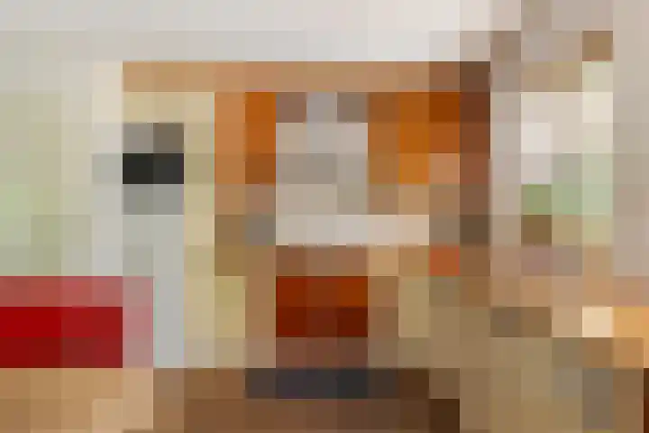 De Simmerkrite 14 Heeg thumbnail 15