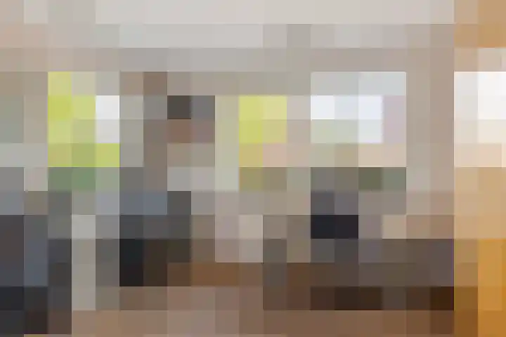 De Simmerkrite 14 Heeg thumbnail 17