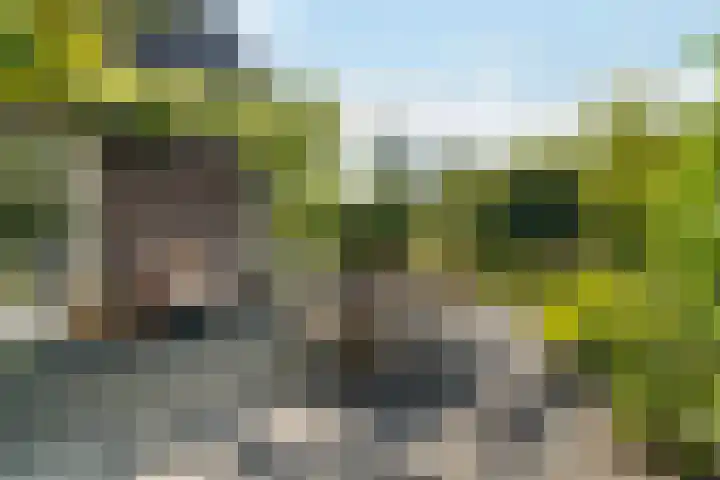 De Simmerkrite 14 Heeg thumbnail 23