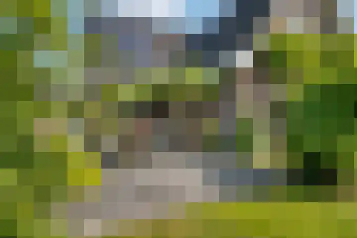 De Simmerkrite 14 Heeg thumbnail 24