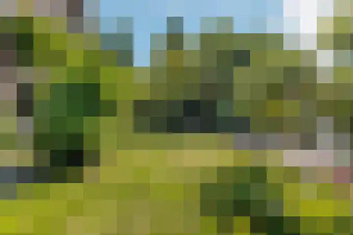 De Simmerkrite 14 Heeg thumbnail 25