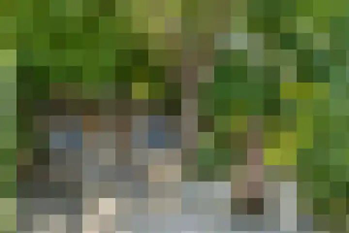 De Simmerkrite 14 Heeg thumbnail 26