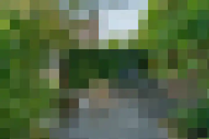 De Simmerkrite 14 Heeg thumbnail 29