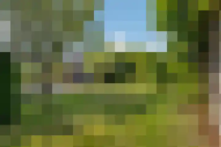 De Simmerkrite 14 Heeg thumbnail 31