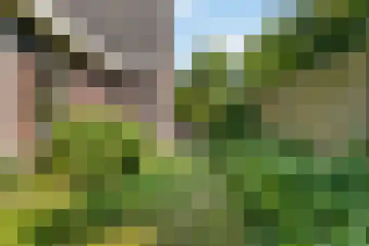 De Simmerkrite 14 Heeg thumbnail 32