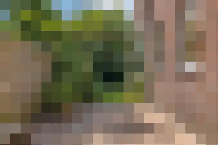 De Simmerkrite 14 Heeg thumbnail 33