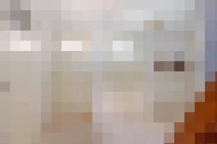 De Simmerkrite 14 Heeg thumbnail 37