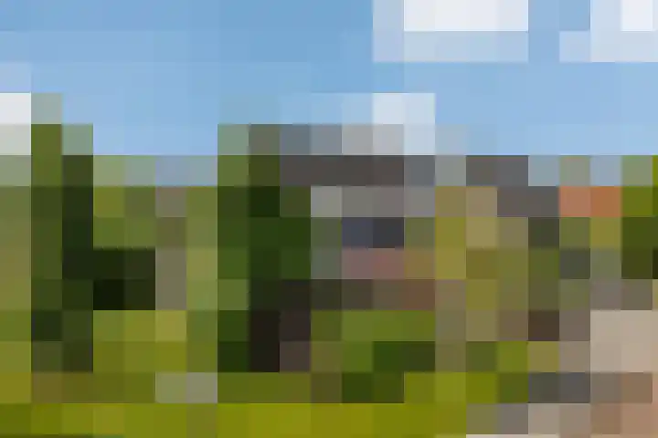 De Simmerkrite 14 Heeg thumbnail 4