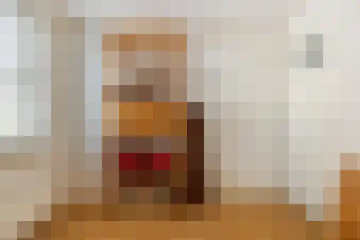 De Simmerkrite 14 Heeg thumbnail 41