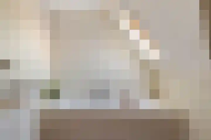 De Simmerkrite 14 Heeg thumbnail 52