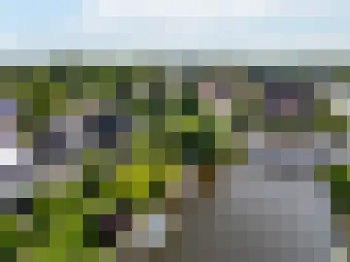 De Simmerkrite 14 Heeg thumbnail 60