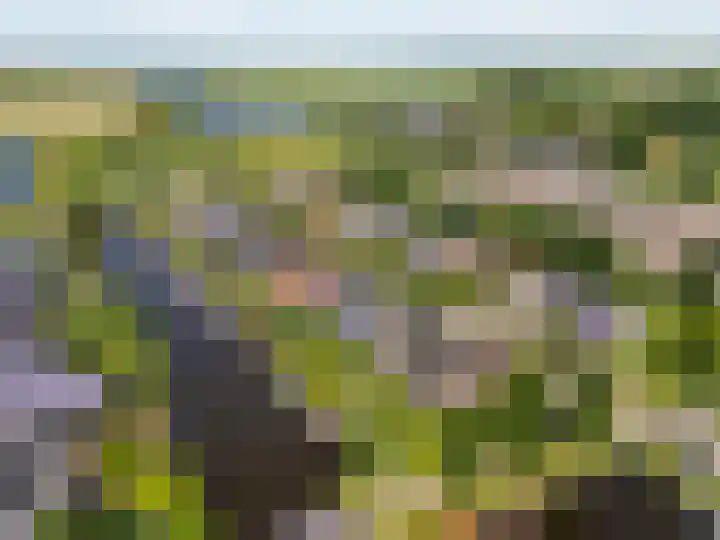 De Simmerkrite 14 Heeg thumbnail 61