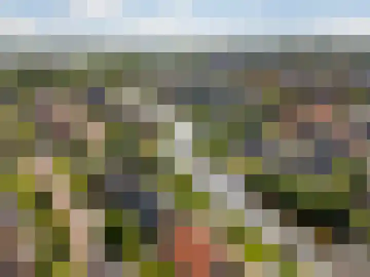 De Simmerkrite 14 Heeg thumbnail 62