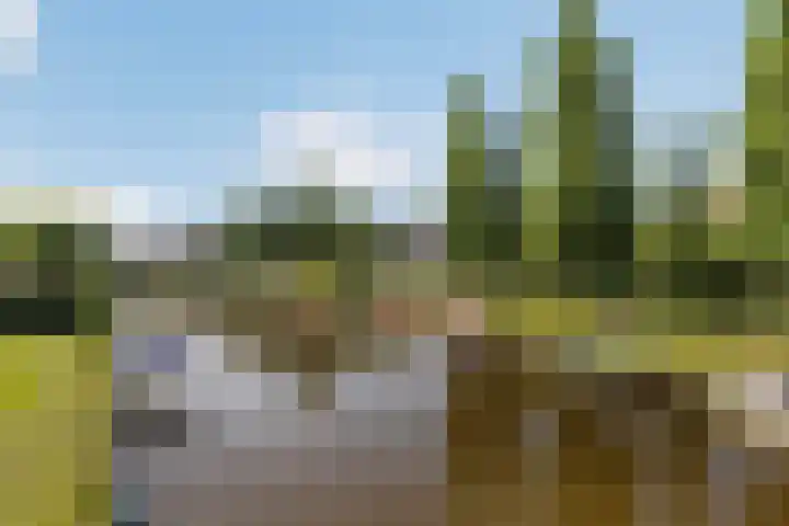 De Simmerkrite 14 Heeg thumbnail 63