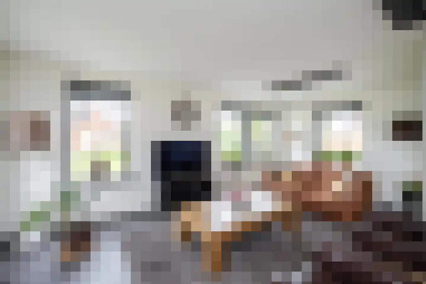 De Singel 27 Dalfsen thumbnail 10