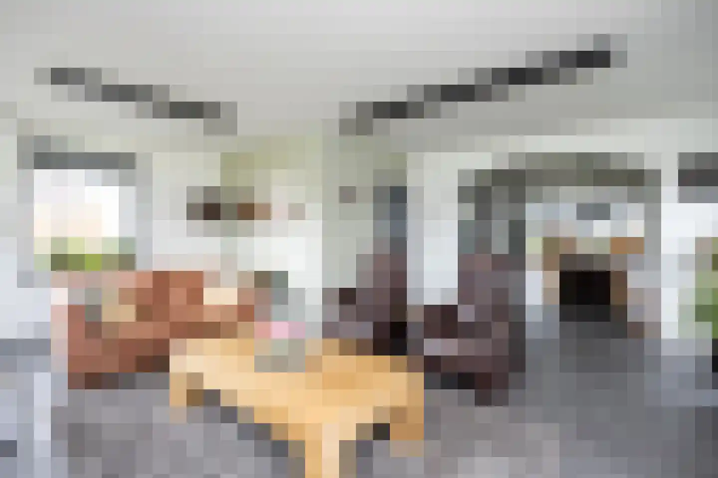 De Singel 27 Dalfsen thumbnail 13