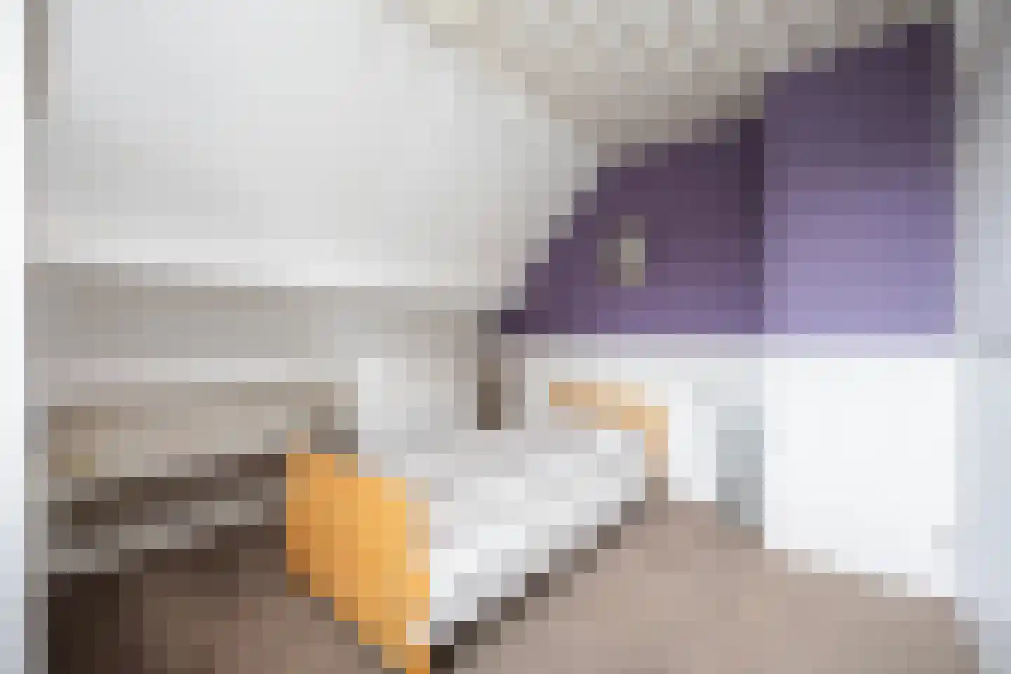 De Singel 27 Dalfsen thumbnail 27