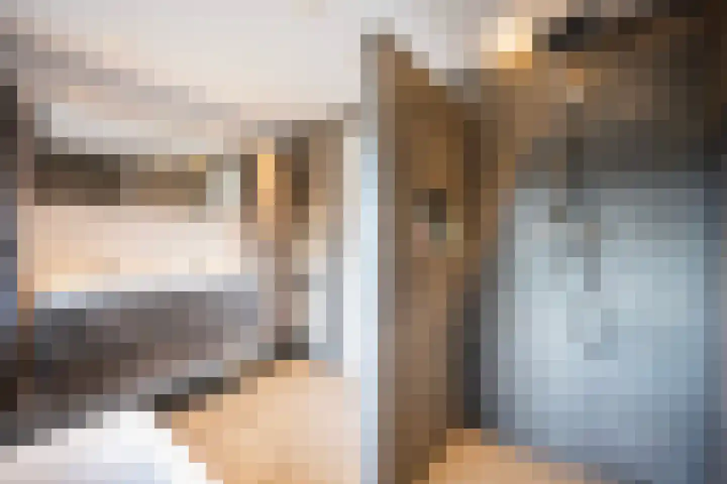 De Singel 27 Dalfsen thumbnail 31