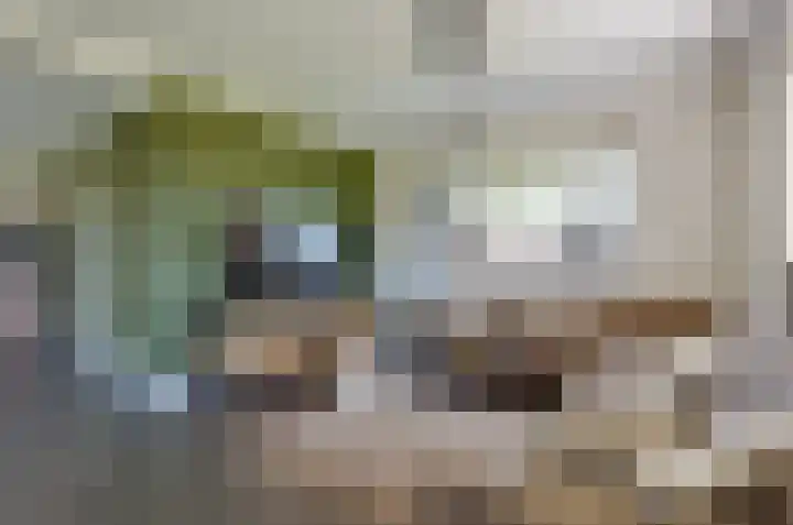 De Singel 29 Harkema thumbnail 10