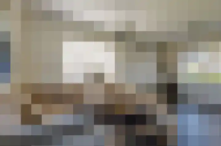 De Singel 29 Harkema thumbnail 11