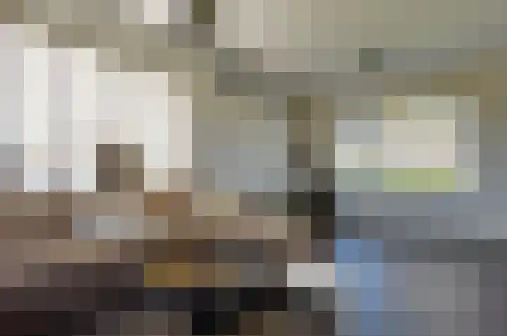 De Singel 29 Harkema thumbnail 12