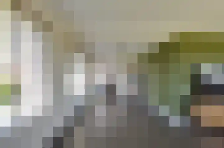 De Singel 29 Harkema thumbnail 13