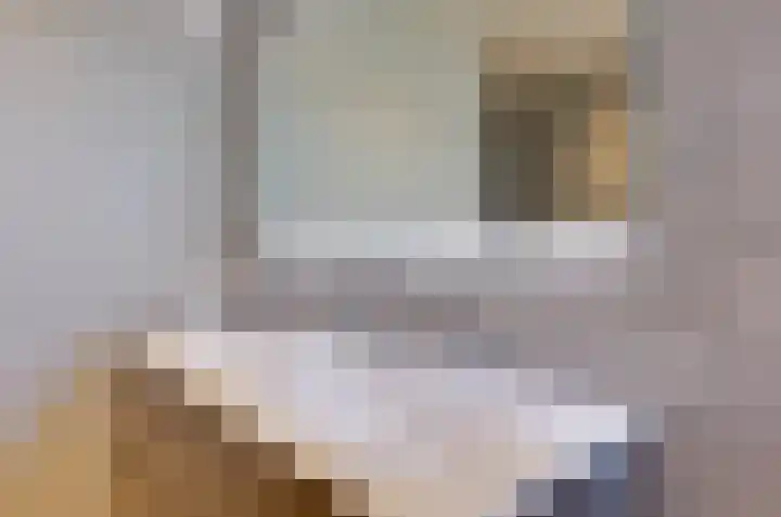 De Singel 29 Harkema thumbnail 27